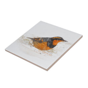 Beautiful Varied Thrush on a Snowy Winter's Day Ceramic Tile