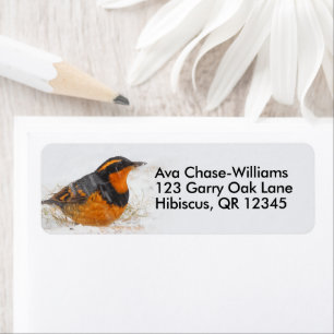 Beautiful Varied Thrush on a Snowy Winter's Day Return Address Label