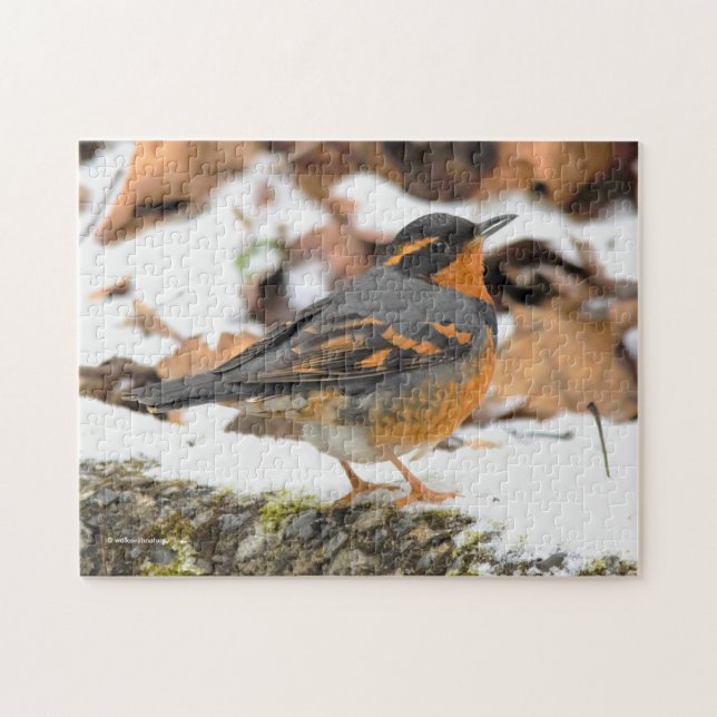 Beautiful Varied Thrush Songbird in the Snow Jigsaw Puzzle (Horizontal)
