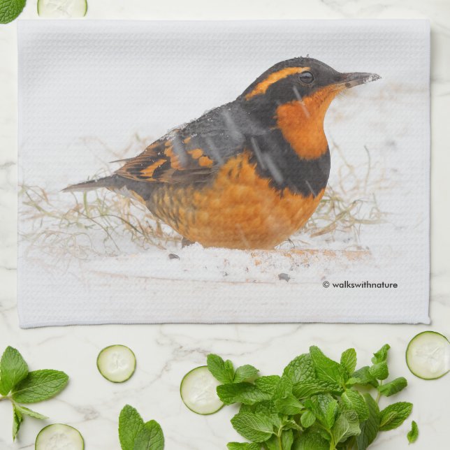 Beautiful Varied Thrush Songbird in the Snow Tea Towel (Folded)