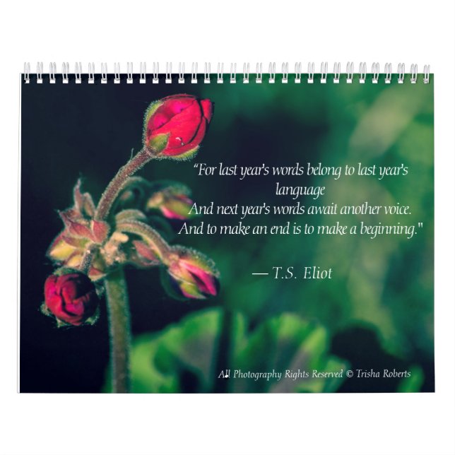 Beautiful Variety Photography Calendar 2018 (Cover)