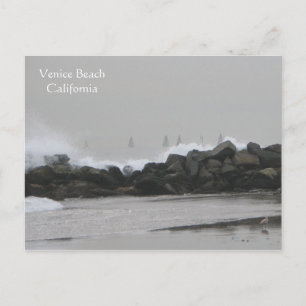 Beautiful Venice Beach Postacard! Postcard