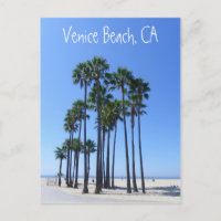 Beautiful Venice Beach Postcard!