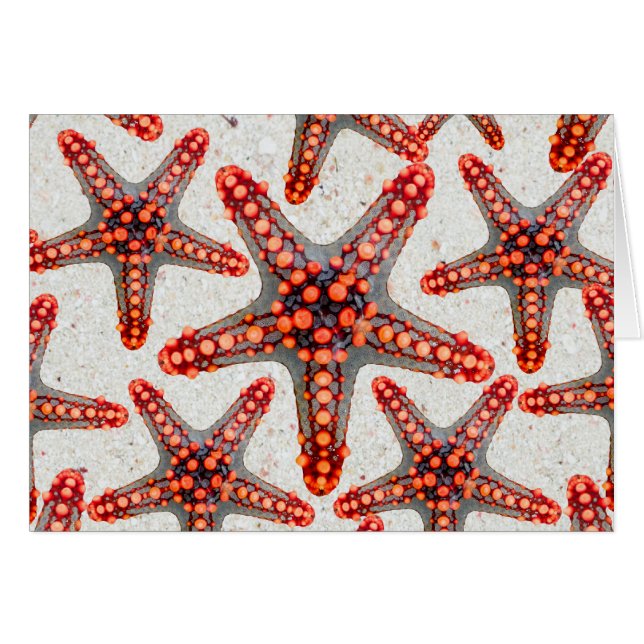 Beautiful Vibrant Red Starfish Sand Ocean Sealife (Front Horizontal)
