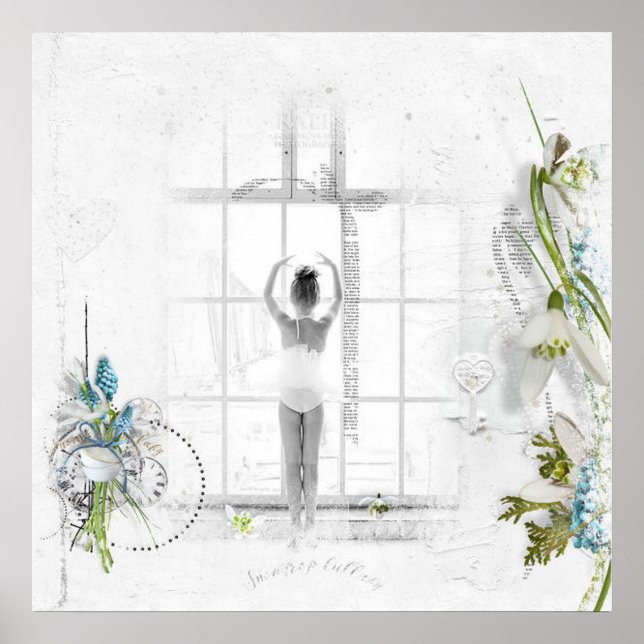 Beautiful Victorian Ballet Elegant Poster (Front)