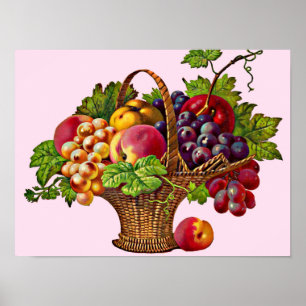 beautiful Victorian fruit basket print