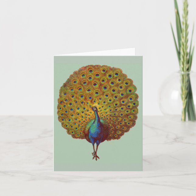  beautiful Victorian peacock print Note Card (Front)