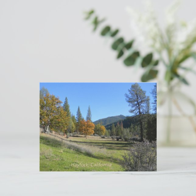 Beautiful view in the valley.... postcard (Standing Front)