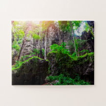 Beautiful Vine Forest