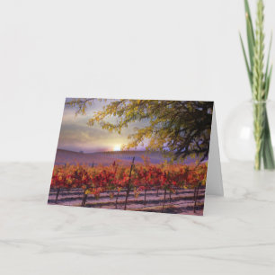 Beautiful Vineyard Happy Birthday Card