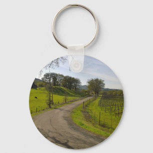 Beautiful Vineyard in Napa Valley California Key Ring