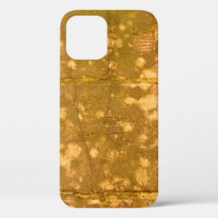 Beautiful vintage background. Abstract grunge deco iPhone 12 Case
