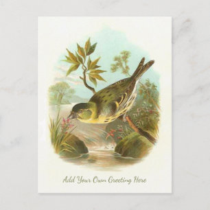 Beautiful Vintage Bird Add Your Own Greeting Postcard