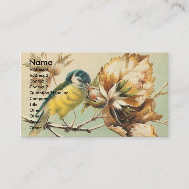 Beautiful Vintage Bird Business Card (Front)