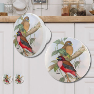 Beautiful Vintage Birds Ceramic Knob - Red and Tan