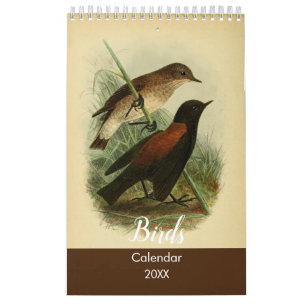 Beautiful Vintage Birds Nature Calendar