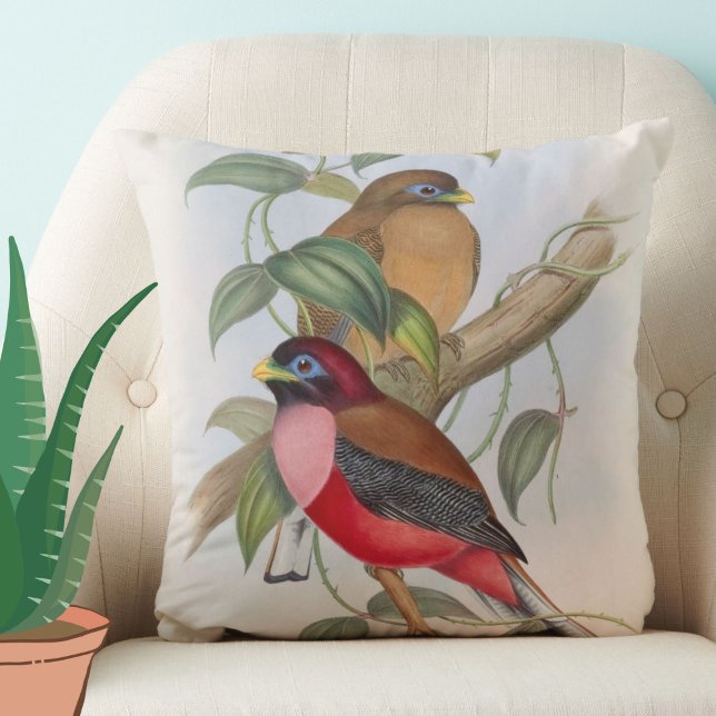 Beautiful Vintage Birds Reversible Pillow (This beautiful vintage birds throw pillow will add color and charm to your space!)