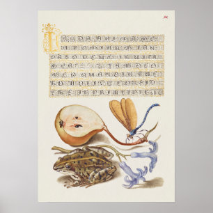 Beautiful Vintage Botanical Illustration Poster