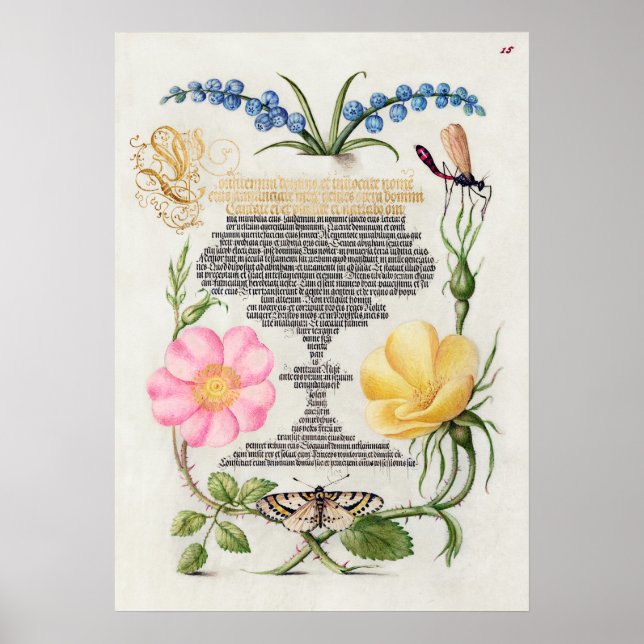 Beautiful Vintage Botanical Illustration Poster (Front)