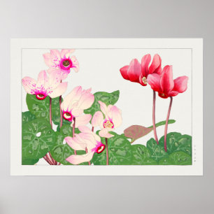 Beautiful Vintage Botanical Illustration Poster