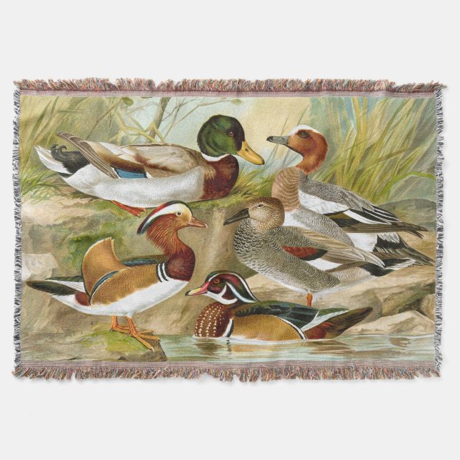 Beautiful Vintage Ducks 1 Throw Blanket (Front)