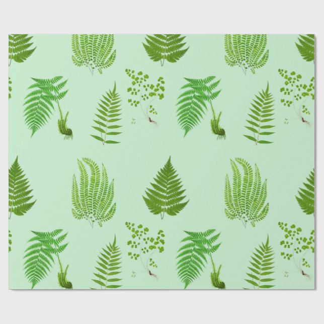Beautiful vintage ferns paintings wrapping paper (Flat)