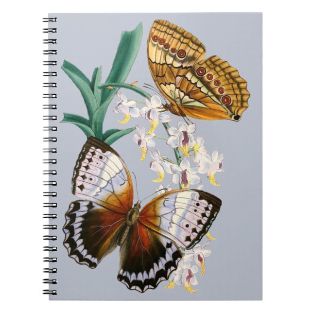 Beautiful Vintage Floral Butterfly Illustration Notebook (Front)