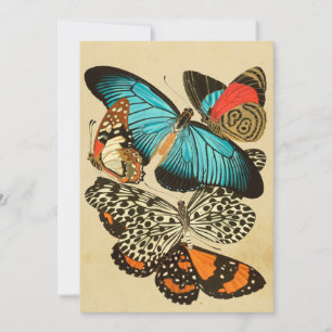 Beautiful Vintage Garden Butterflies Card