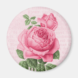 Beautiful vintage pink rose magnet