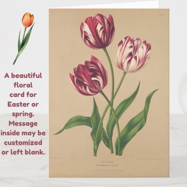 Beautiful Vintage Tulips Easter Card (A beautiful vintage tulips card for Easter or any occasion.)