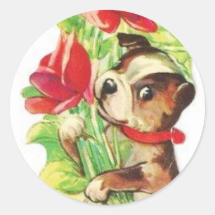 Beautiful Vintage Valentine Boston Terrier Puppy Classic Round Sticker