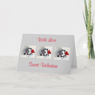 Beautiful Vintage Valentine Boston Terrier Puppy Holiday Card