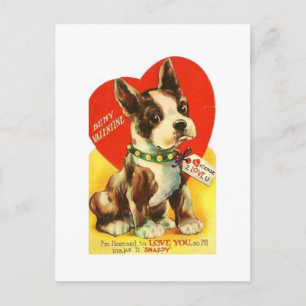 Beautiful Vintage Valentine Boston Terrier Puppy Holiday Postcard