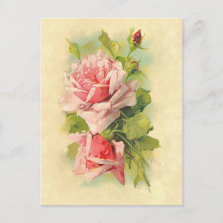 Beautiful Vintage Victorian Flower Roses Bouquet Postcard