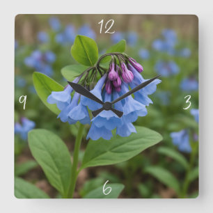 Beautiful Virginia Bluebells Square Wall Clock