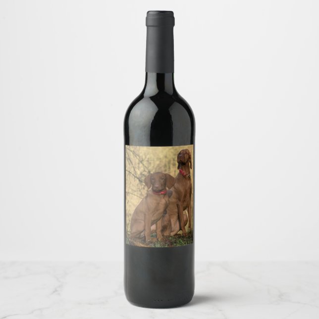 Beautiful Vizsla Sporting Dogs Wine Label (Front)