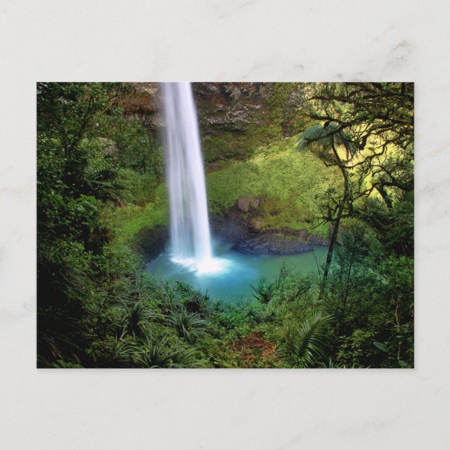 Beautiful Water Fall Postcard (Front)