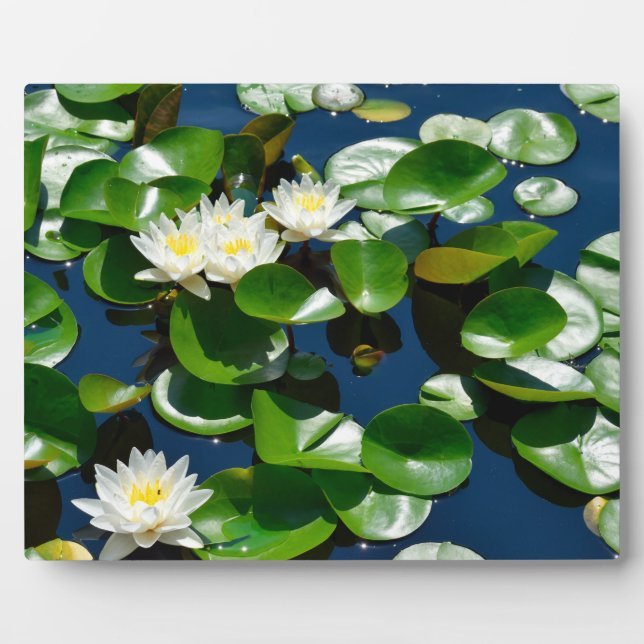 Beautiful Water Lilies Plaque (Front)