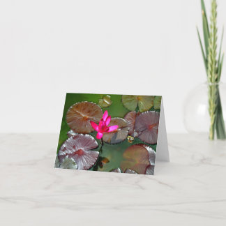 Beautiful Water Lily Card