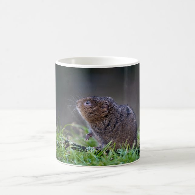 Beautiful Water vole Mug (Center)