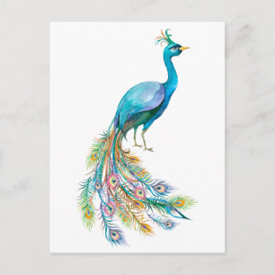Beautiful watercolor blue peacock illustration postcard