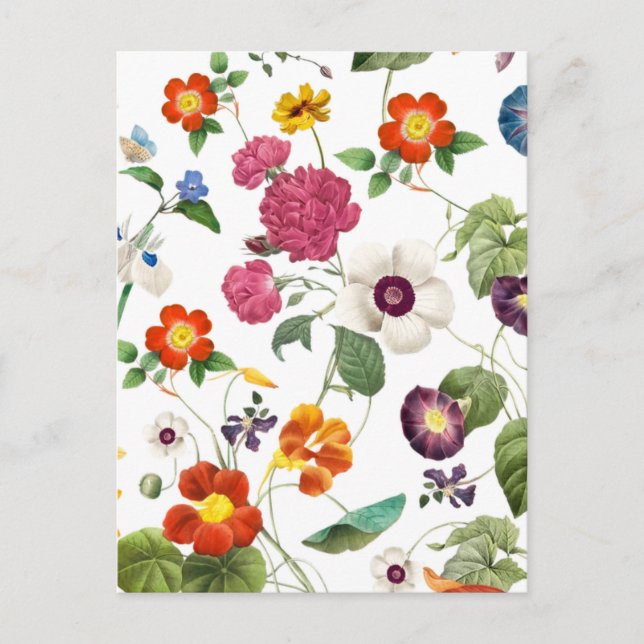 Beautiful Watercolor Botanical Postcard (Front)