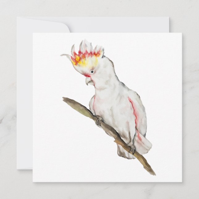 Beautiful watercolor cockatoo parrot hand drawing (Front)