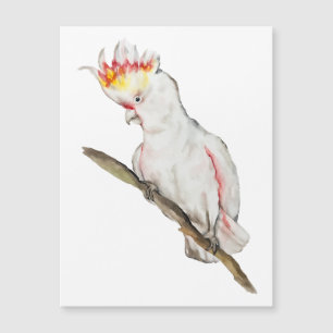 Beautiful watercolor cockatoo parrot hand drawing