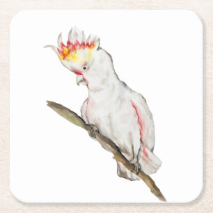 Beautiful watercolor cockatoo parrot hand drawing square paper coaster