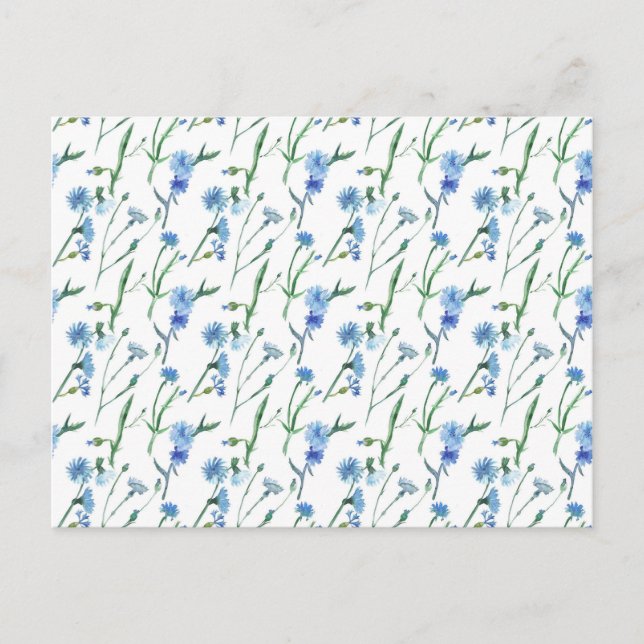 Beautiful watercolor cornflowers postcard (Front)