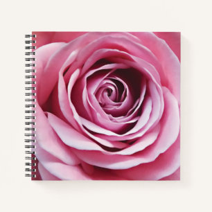 Beautiful watercolor pink rose flower notebook