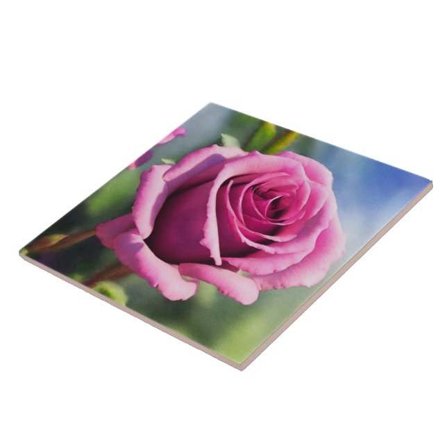 Beautiful Watercolor Pink Rose Modern Collection Ceramic Tile (Side)