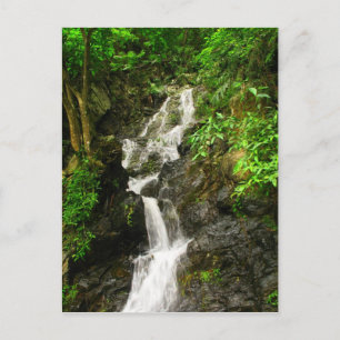 Beautiful Waterfall in a Lush Green Forest Postcard