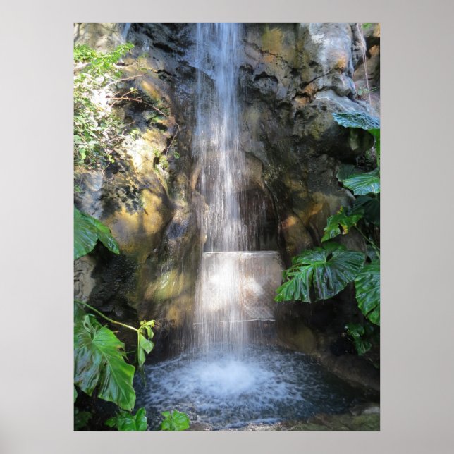 Beautiful Waterfalls In Rain Forest Poster (Front)